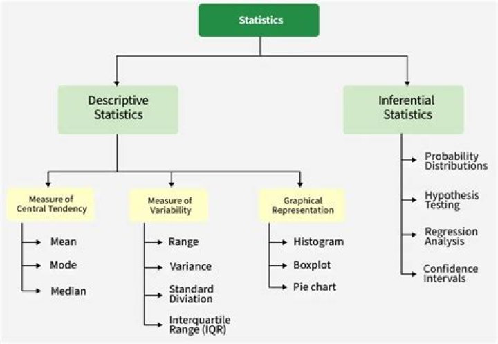 What is meant by statistical unit