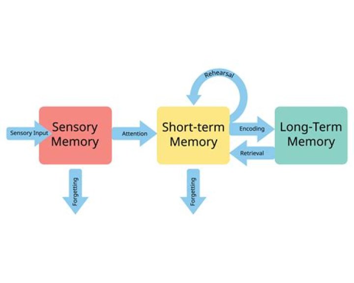 What is memory and how is it measured