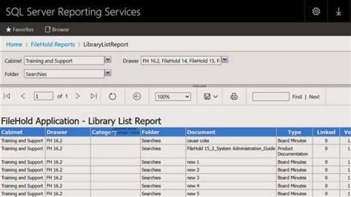 What is Microsoft SQL Report Builder