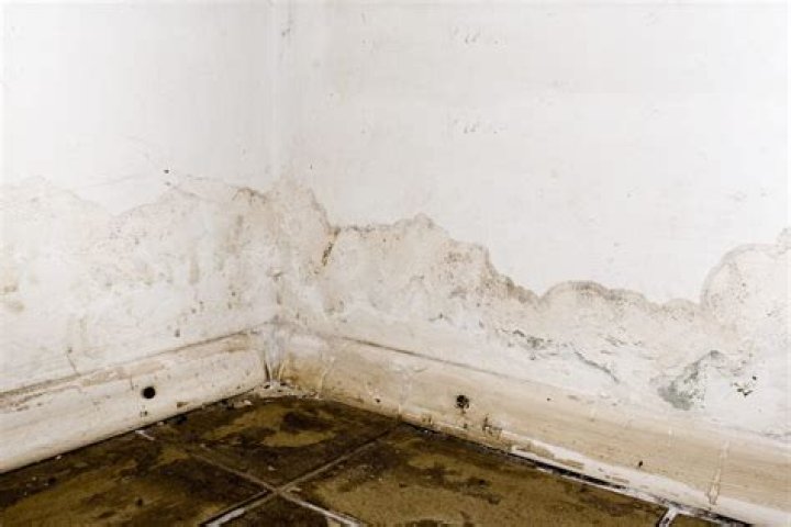 What is moisture in building