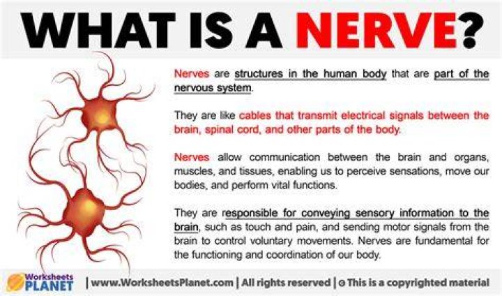 What is nerve problem