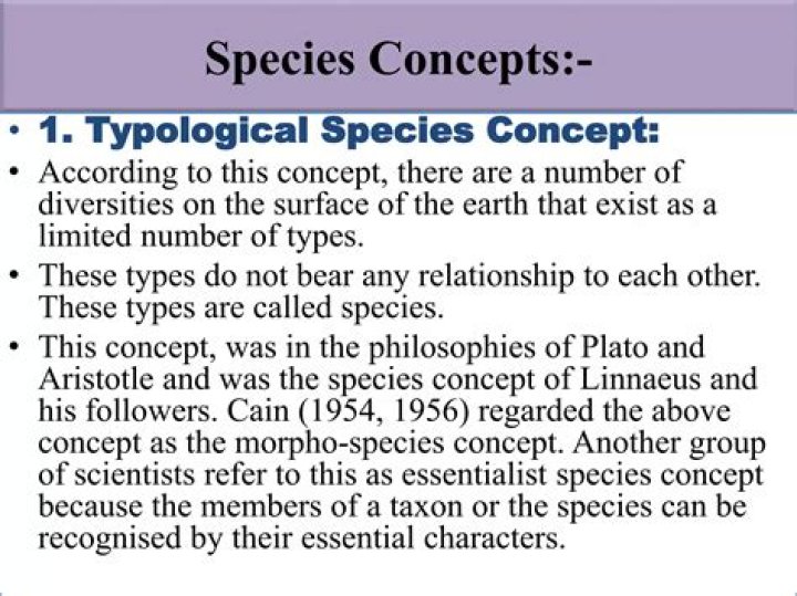 What is Nominalistic species concept