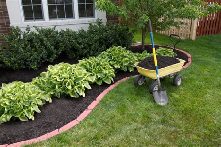 What is organic mulch