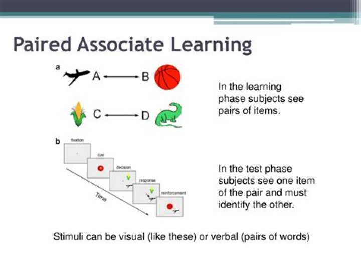 What is paired associate learning