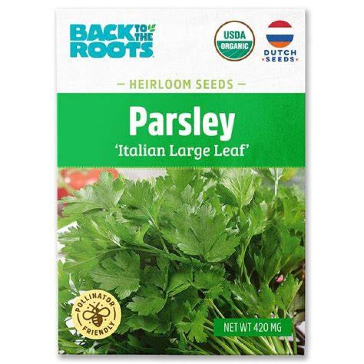 What is parsley seed