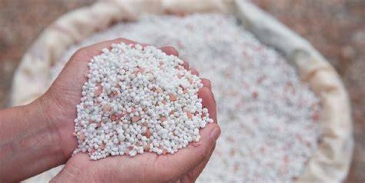 What is pelletized lime