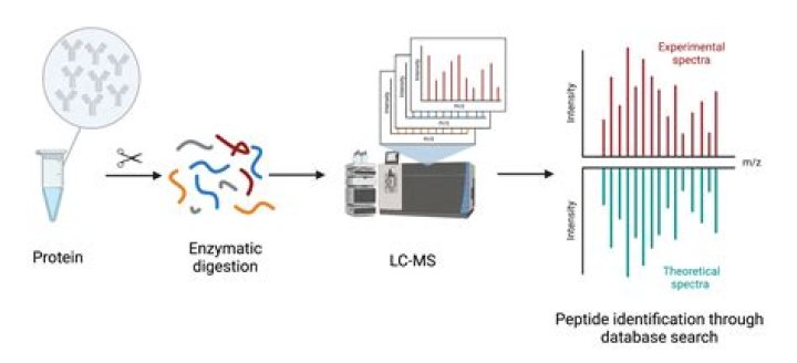 What is peptide mapping