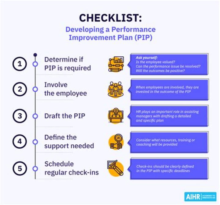 What is PIP full form