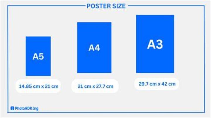 What is poster size in CM