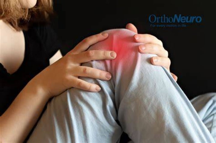 What is posterior knee
