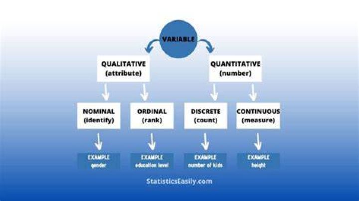 What is qualitative variable