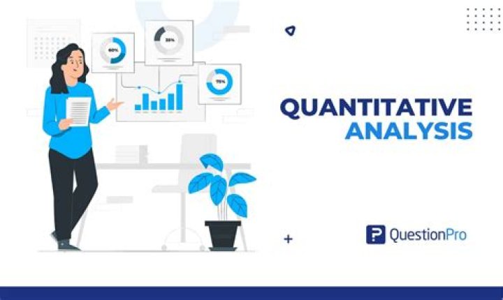 What is quantitative analysis for business decisions