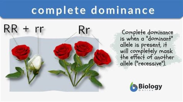 What is relative dominance