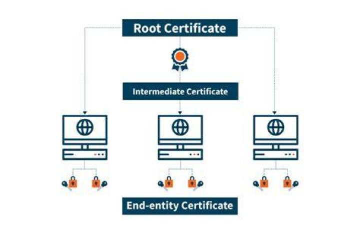 What is root intermediate certificate