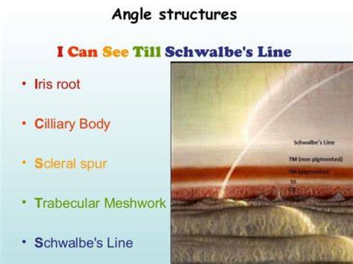 What is Schwalbes line