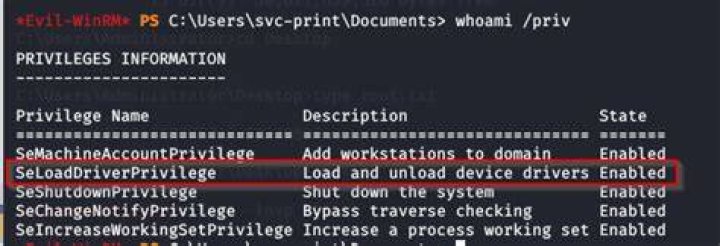 What is SeLoadDriverPrivilege