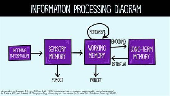 What is shallow processing in memory