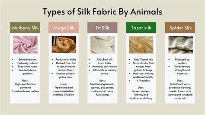 What is silk test used for