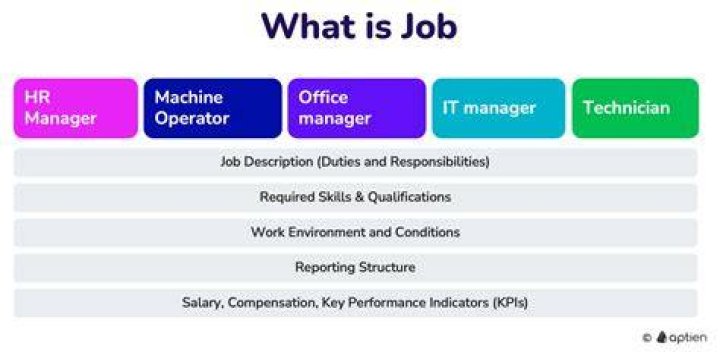 What is Spocks job