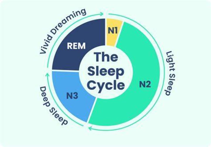 What is stage IV sleep