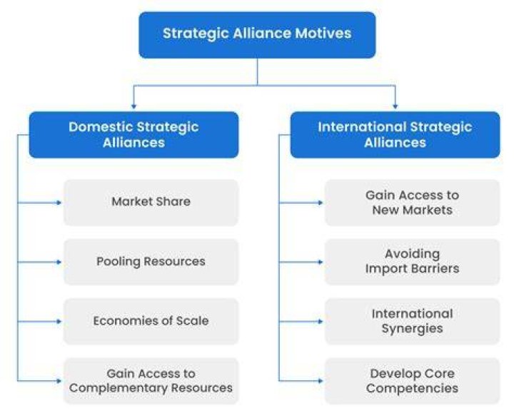 What is strategic alliance example