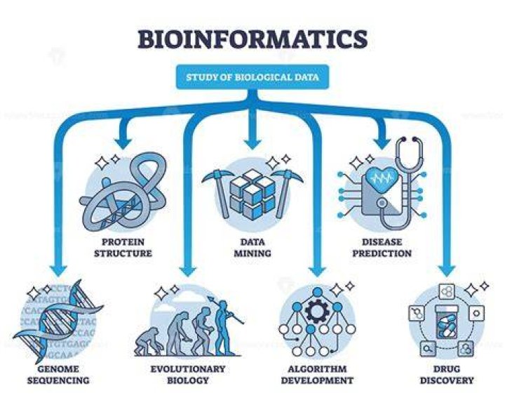 What is string in bioinformatics