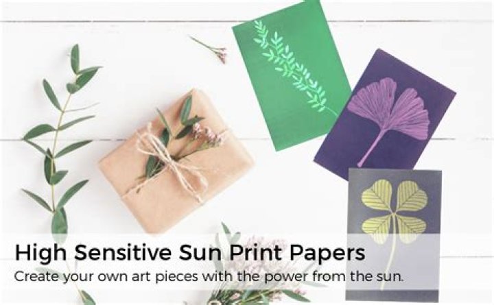 What is Sun print paper