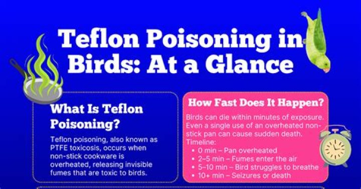 What is Teflon poisoning