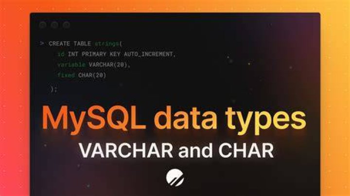 What is the char data type used for