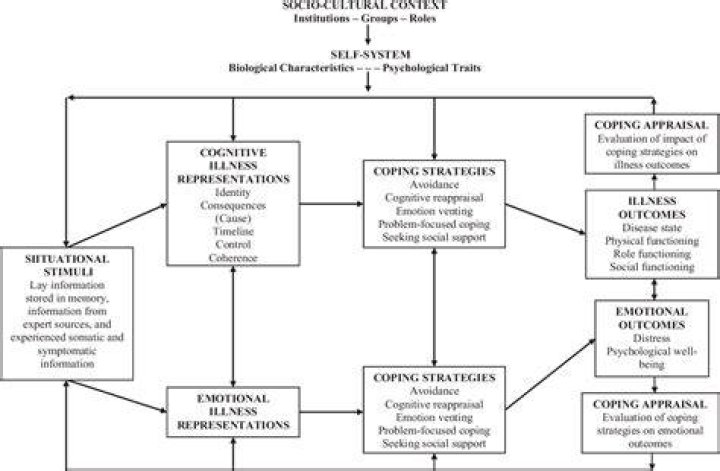 What is the common sense model