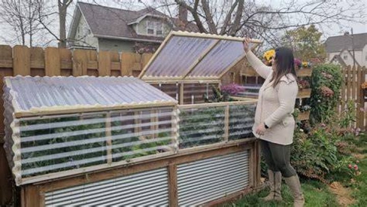 What is the difference between a cold frame and greenhouse