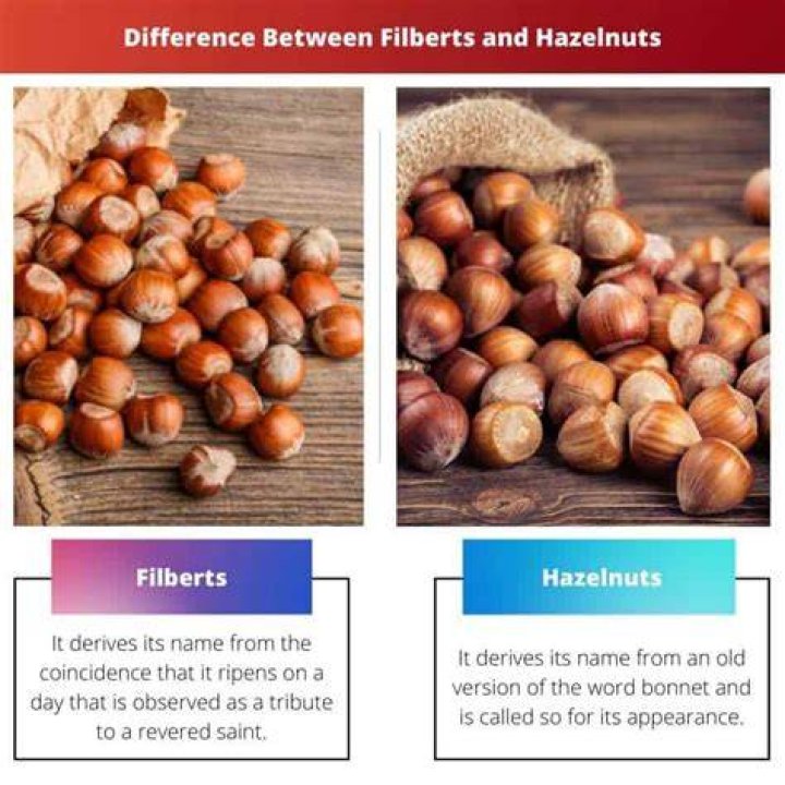 What is the difference between a filbert and a hazelnut