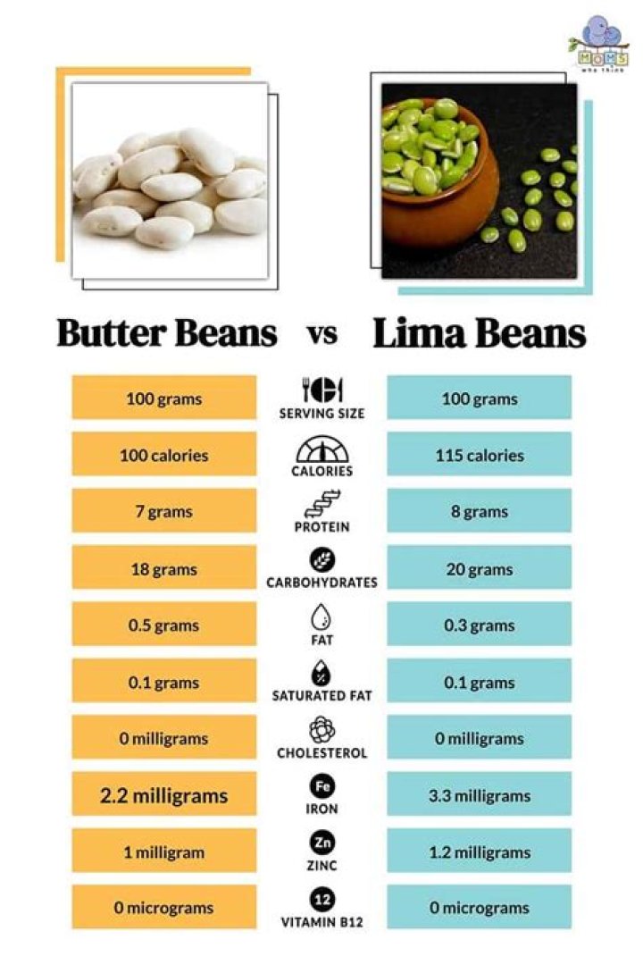 What is the difference between a lima bean and a Butterbean