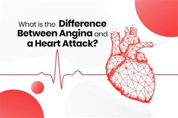 What is the difference between angina and a heart attack