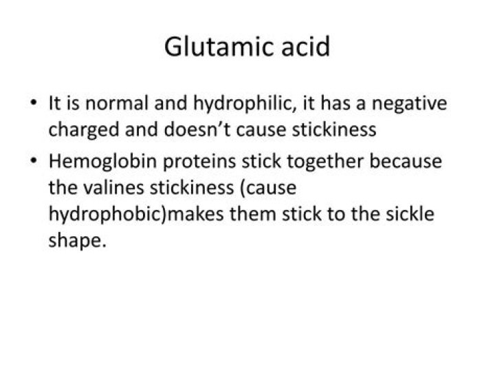 What is the difference between glutamic acid and valine