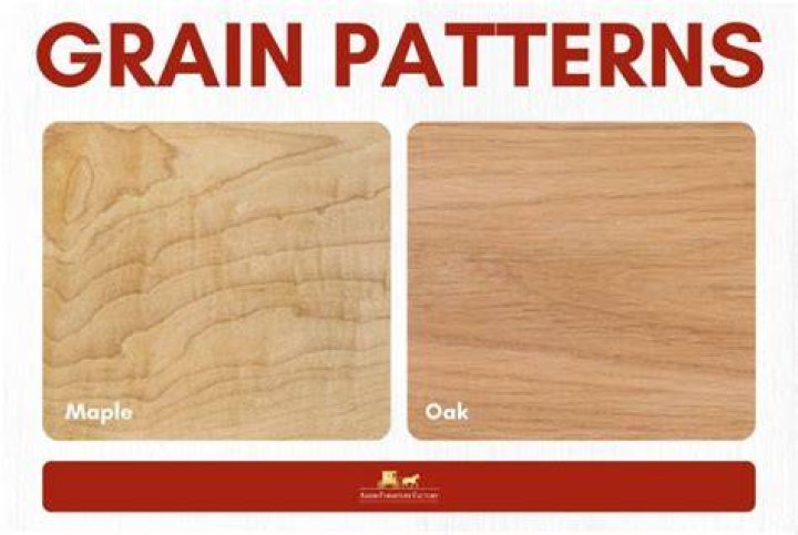What is the difference between maple and birch