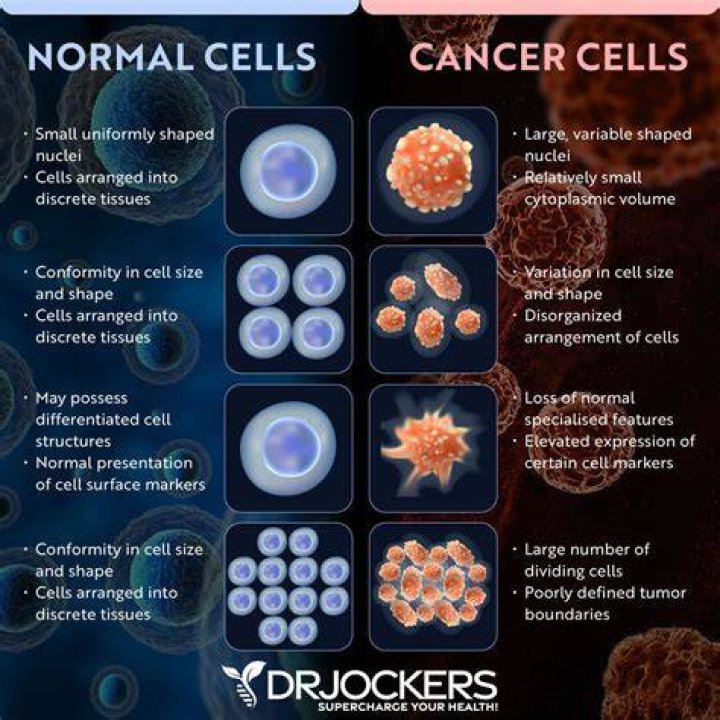 What is the difference between normal and cancer cells