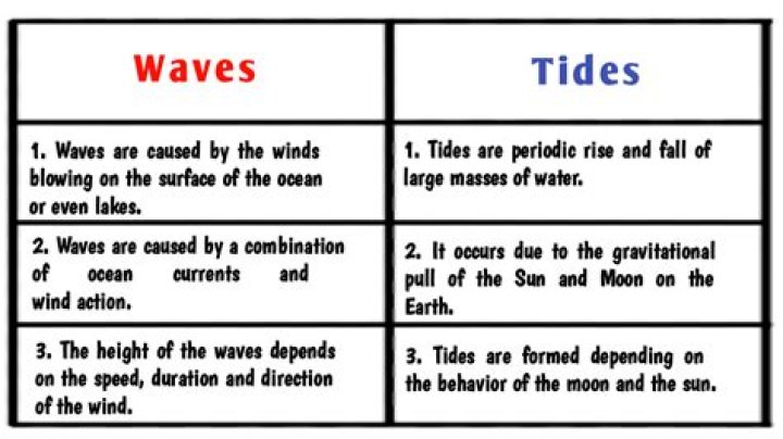 What is the difference between tides and waves