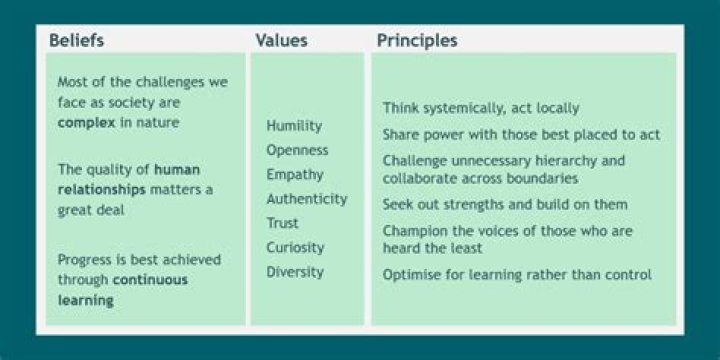 What is the difference between values and traits