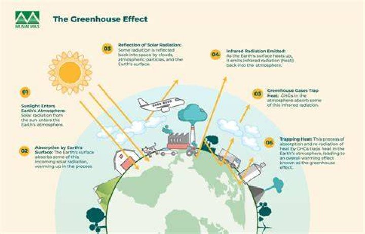 What is the greenhouse effect physics