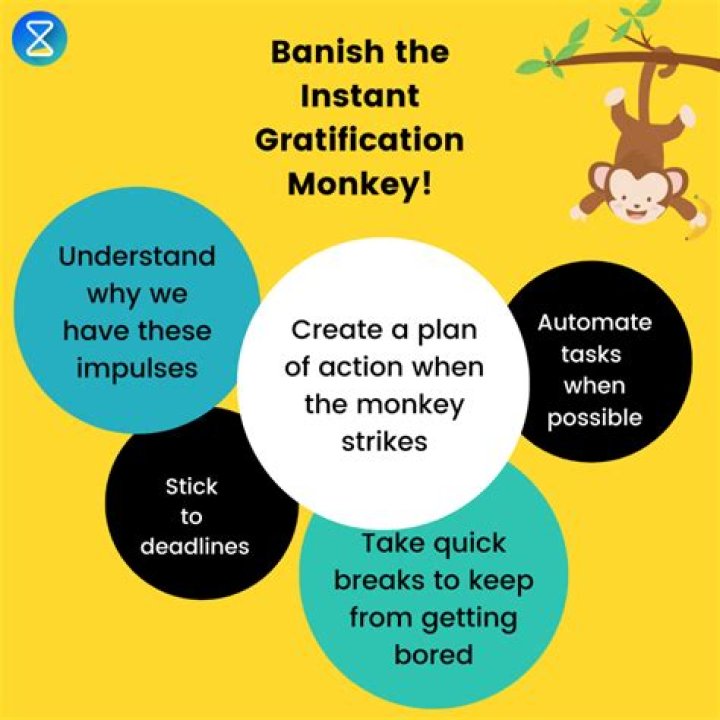 What is the instant gratification monkey