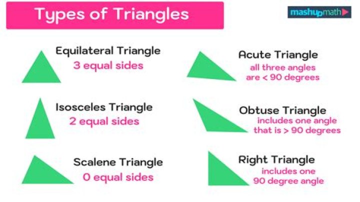 What is the momentum triangle