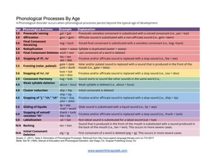 What is the phonological process