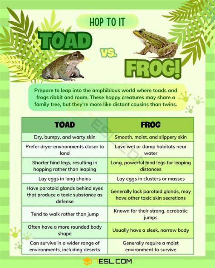 What is the poem Toads about