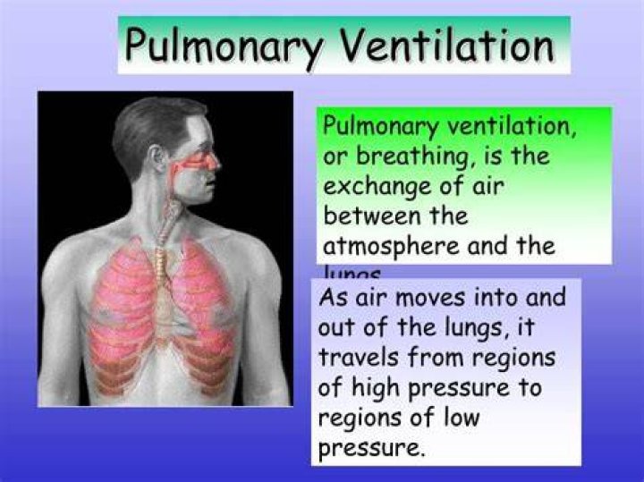 What is the pulmonary ventilation