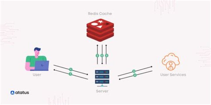 What is the Redis server