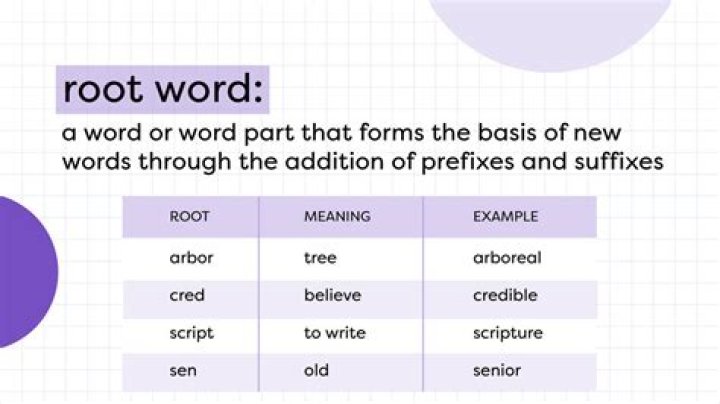What is the root word for analyze