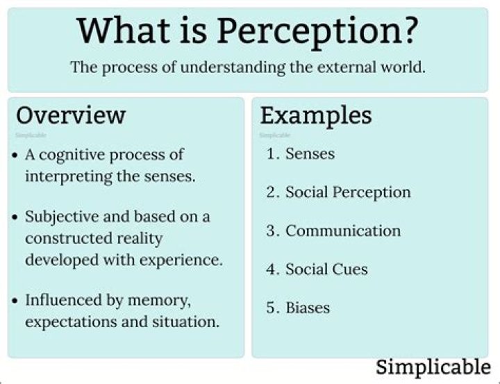What is the saying about perception