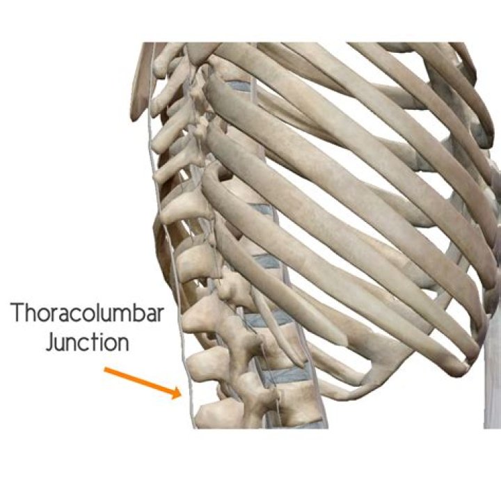 What is thoracolumbar junction