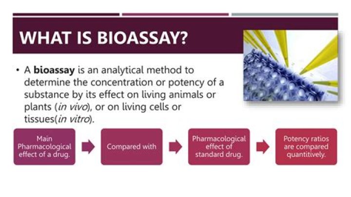 What is toxicity bioassay